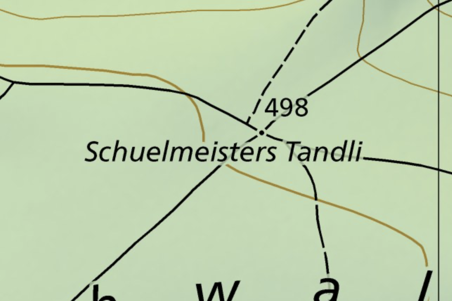 The headmaster's little fir tree